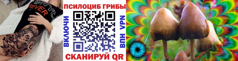 Псилоцибиновые грибы GOLDEN TEACHER  продажа наркотиков  Ува 